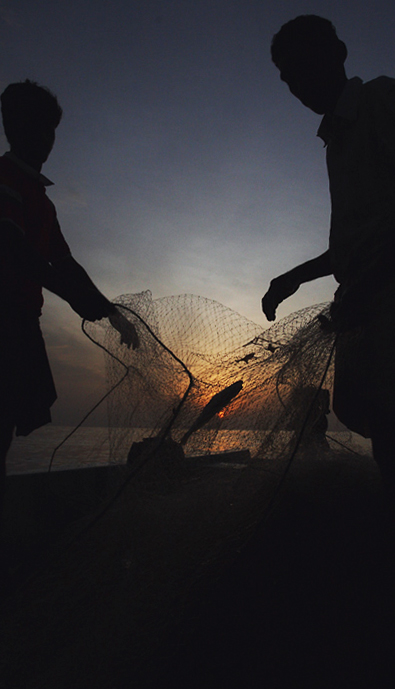 Fishermen of the Bay of Bengal