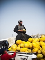 Alkazai melon seller