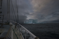Last Iceberg